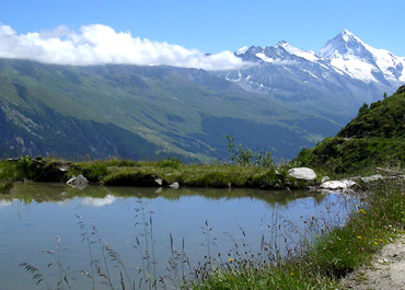 Dent Blanche